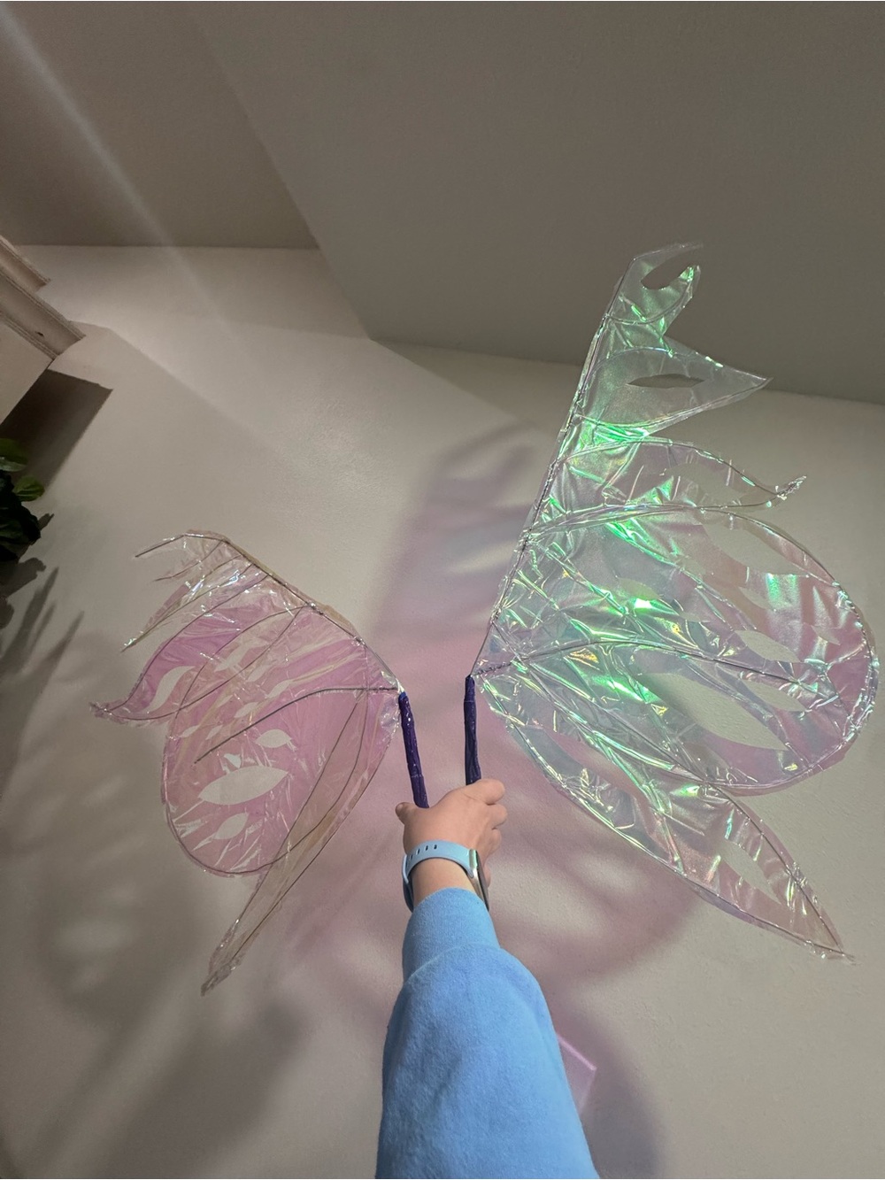 Iridescent Fairy Wings Prop - Pink & Green